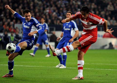 的广泛讨论 的广泛讨论